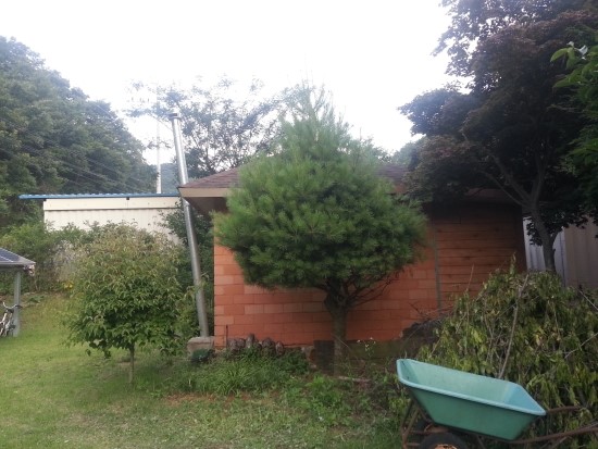  오늘 풍경