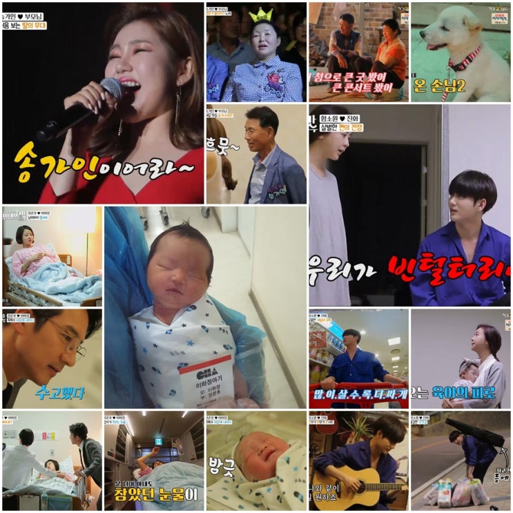  <다시보는 아내의맛 53회> 송가인 동생 송백구 등장?!, 정준호 붕어빵 둘째딸 최초공개, 함진부부 달콤살벌 쩐의전쟁!