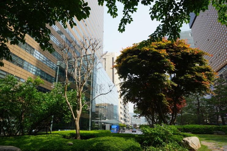  [건설전문변호사] 부동산개발업과 법인세법상 특례규정