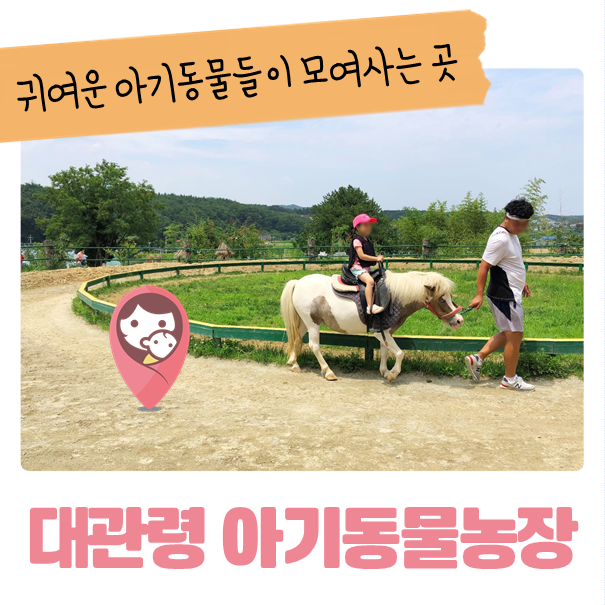  강릉 아이와 가볼만한 곳_대관령아기동물농장