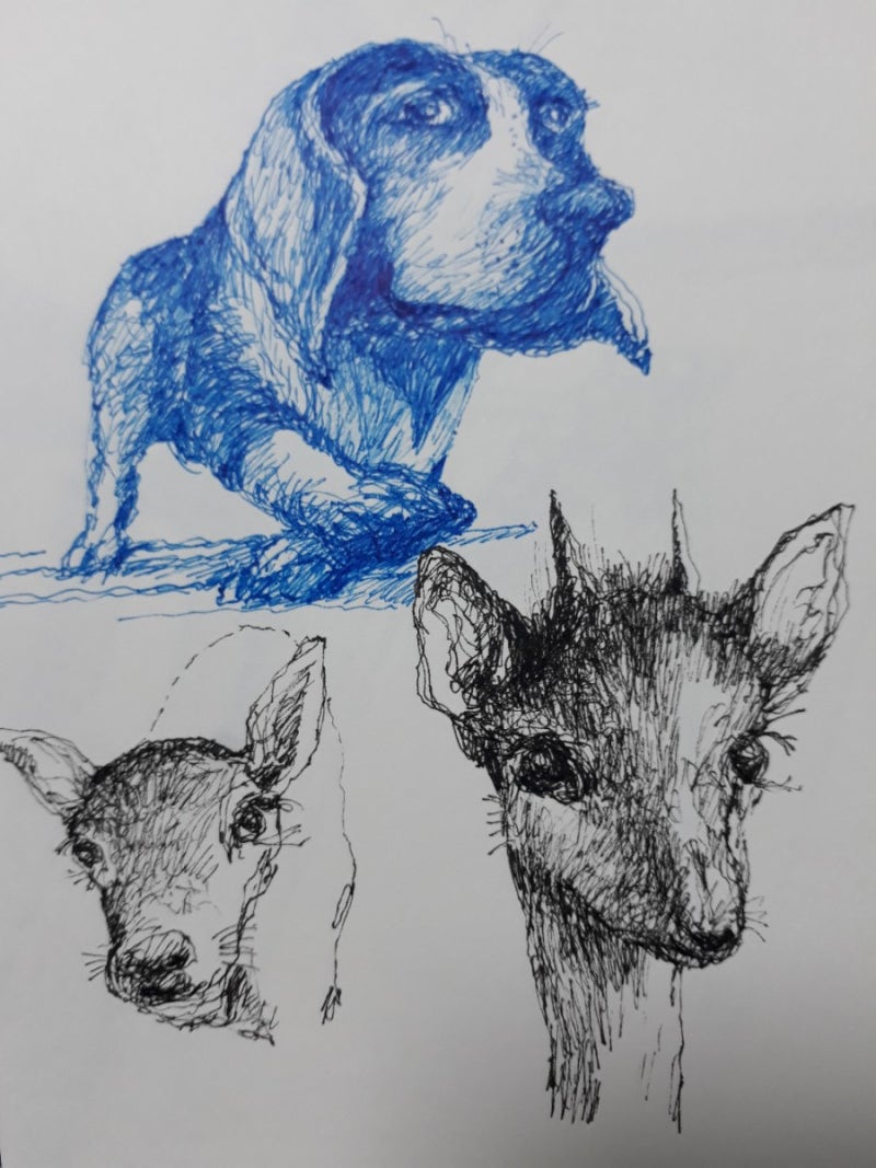 이름 없는 사슴 포켓몬, 틱톡 프롬프트로 만들었어 : r/fakemon, image size:800x1067