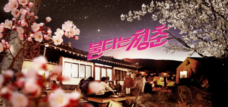  불타는청춘 김부용부르노 캐미 좋아서 두번 돌려봄