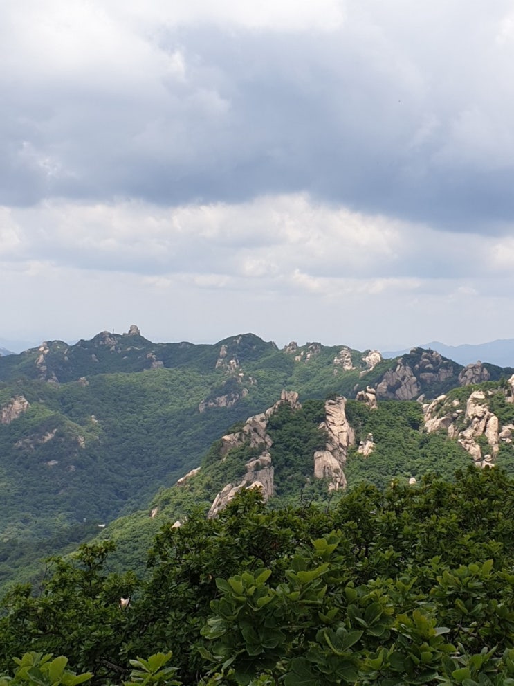 100대명산, 속리산 천왕봉의 최단코스 등산과 정이품송