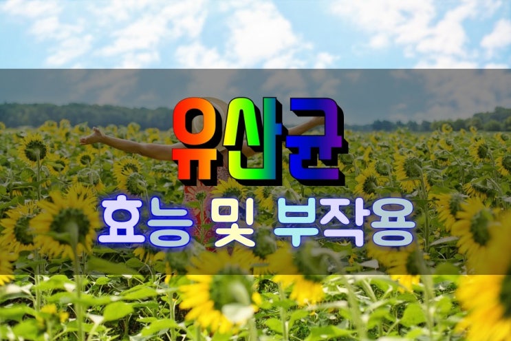  장 건강을 지키는 프로바이오틱스 유산균 효능 및 부작용 심층분석