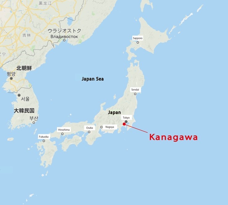 2019 고시엔, 추천 지방예선 - 그곳에는 게이오가 있기에, 가나가와현.