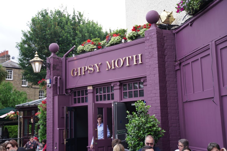  런던 그리니치 맛집 :: 집시모스 GIPSY MOTH