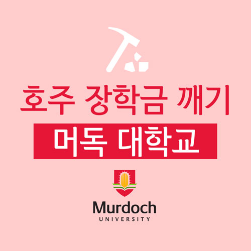  호주 대학교 장학금 깨기! 머독 대학교 : 학비 전체의 20% 지원 등