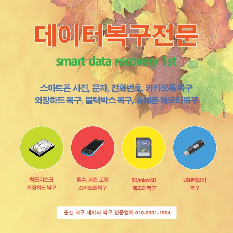  울산안랩복구 울산 데이터복구 및 스마트폰복구를 전문기술로 하는 데이터복구 전문업체
