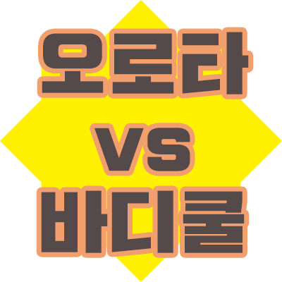  오로타 냉풍기 vs 바디쿨냉풍기 