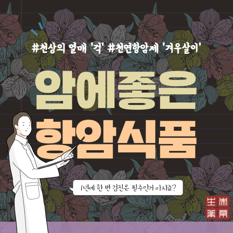  암에 좋은 음식 :: 천상의 열매 ‘걱’과 천연항암제 ‘겨우살이’