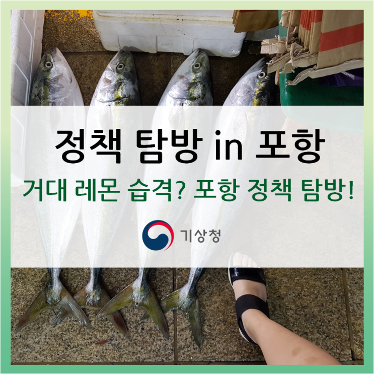  [기자단 정책탐방 1일차] 포항관측소와 포항 지진피해현장 방문