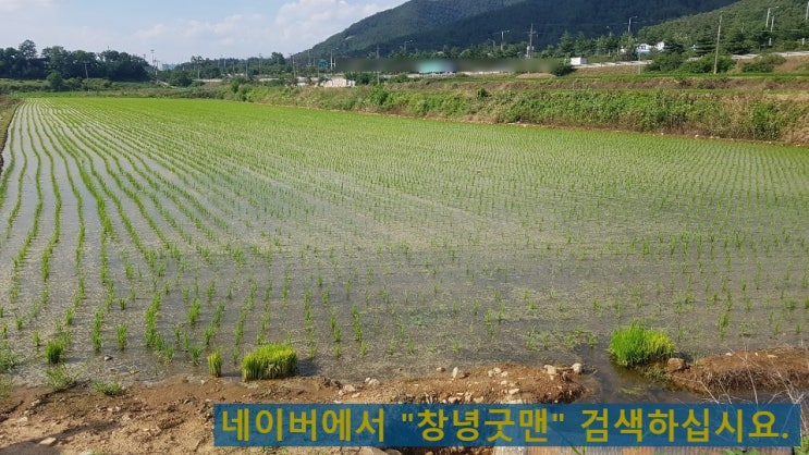  경남 창녕 농지, 버섯농장, 태양광 3,017 (912평) 【굿맨 8 -802】 의령 합천 산청 거창 진주 함안 법수 군북 가야 김해 창원 부산 대구 구미 부동산 촌집 임야 공장