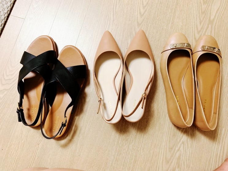  해외직구로 아마존에서 콜한(COLE HAAN), 코치(COACH) 구두 구입, 빅사이즈여성화 구입기