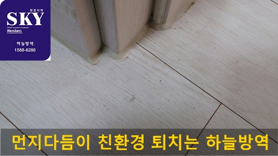  먼지다듬이의 습성 및 생활상