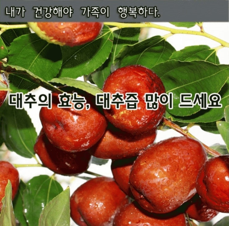  대추의 효능, 대추즙 많이 드세요