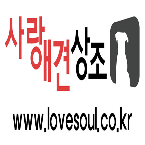  [의정부,남양주,양주시,포천,동두천] 강아지장례, 애견화장으로 유명한 강아지장례시장, 애견화장터 사랑애견상조