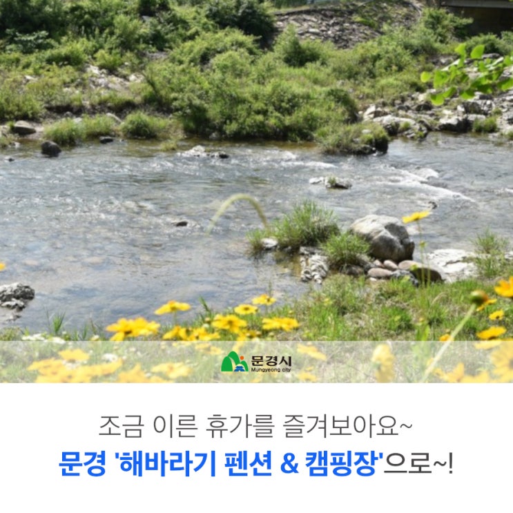  문경 '해바라기 펜션 & 캠핑장'에서 이른 휴가를 즐겨보아요~!