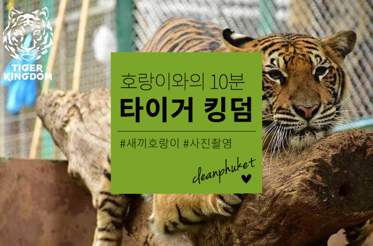  타이거킹덤 (푸켓)