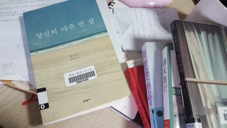  <당신의 아주 먼 섬> 정미경