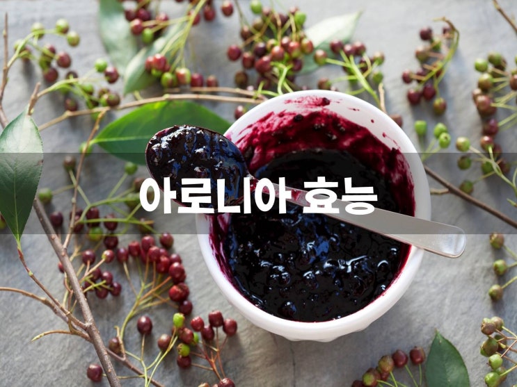  아로니아 효능 이렇게 챙깁시다