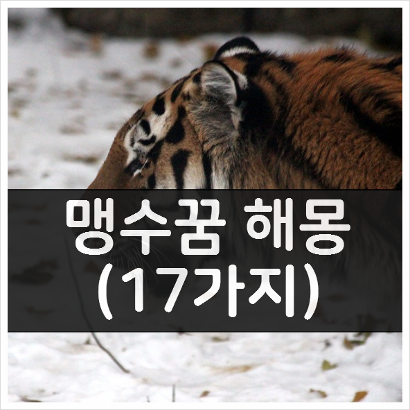  맹수꿈 해몽 17가지 - 길몽일까? 흉몽일까?