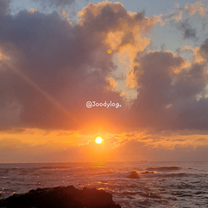  [7/31] 2019년 상반기 결산