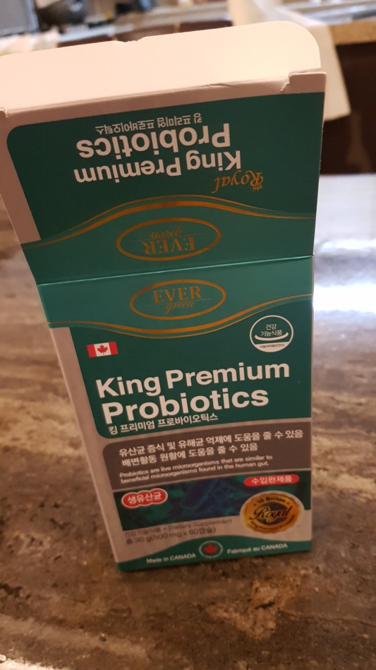  프롤린 유산균
