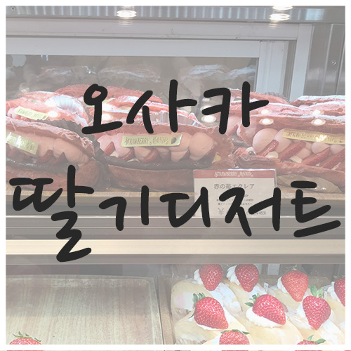  오사카 딸기 디저트, 신사이바시 스트로베리 매니아