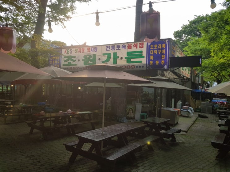  계룡산 갑사 맛집 초원가든 더덕구이, 버섯찌개,전, 동동주가 맛있어요!