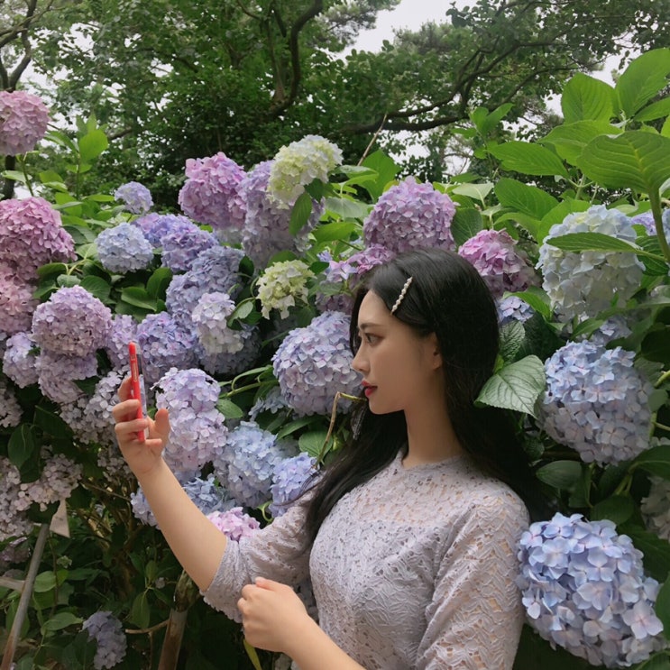 190702 서니일기 영도나들이