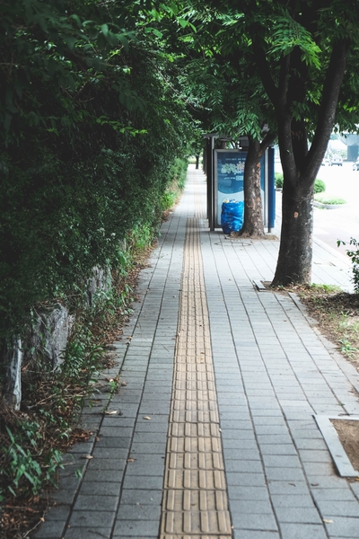  [Fuji X-T10/XF18-55mm, 190630] 장마ing, 녹색