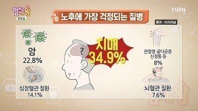 노후에 가장 걱정되는 질병  치매