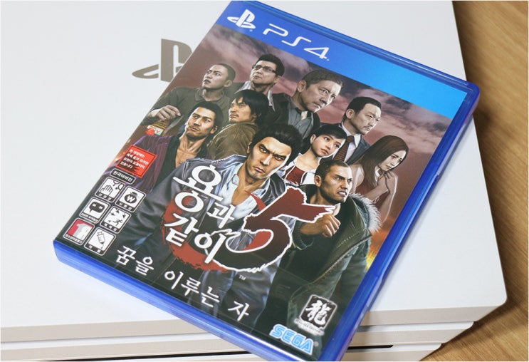  용과같이5:꿈을이루는자 리마스터, 필구 플스타이틀로 낙점!