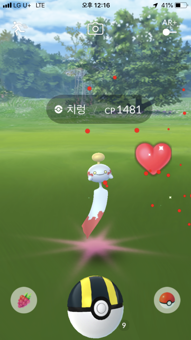  오랜만에 야생에서 치렁 발견