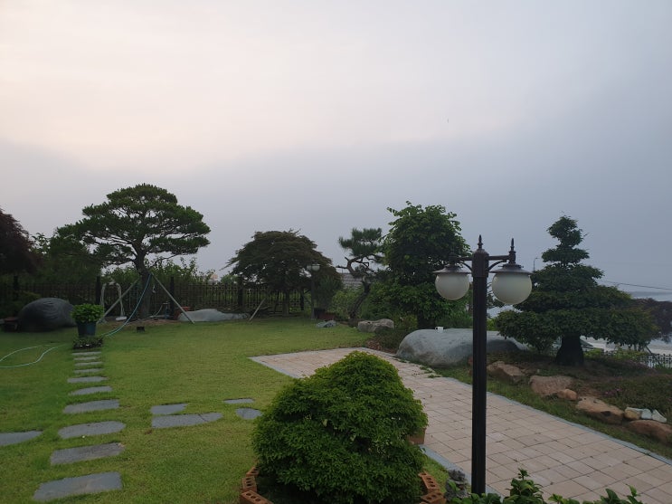  안개가 자욱한 아침
