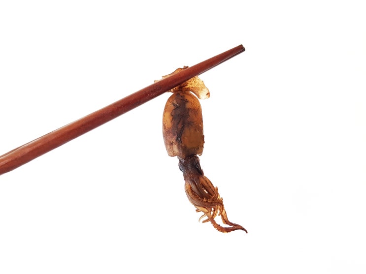  반건조 꼴뚜기 효능 및 효과 그리고 먹물 효능