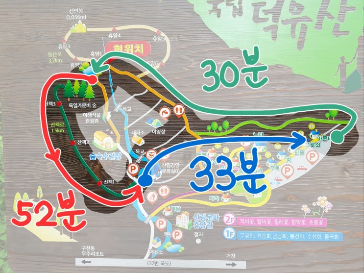  국립덕유산자연휴양림 : 독일가문비숲 산책, 람쥐와 호랑지빠귀