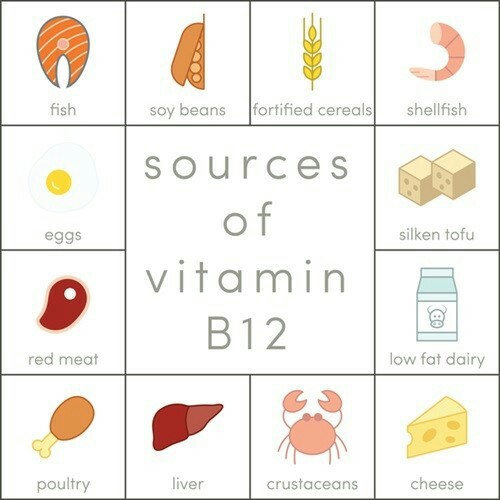 비타민B12, 알고 먹자!! B12의 효능 7가지