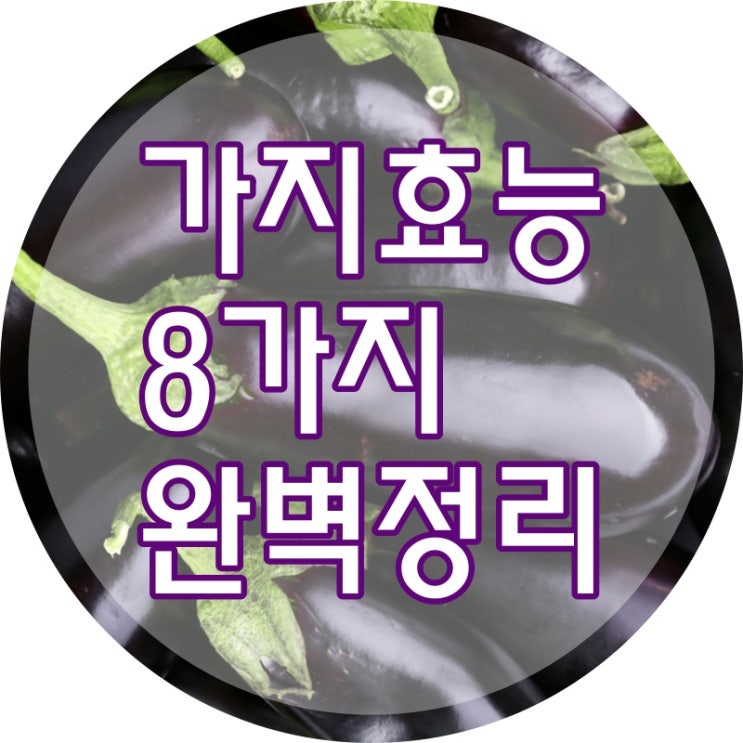  가지 효능 당신만 몰랐던 8가지!