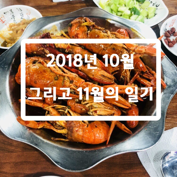  18년도 10.11월의 기록