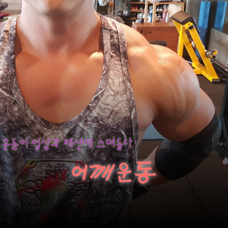  패션몸매의 필수 어깨운동을 했습니다.