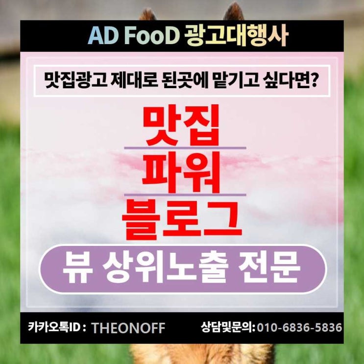  국수체인점 블로그광고 홍보 바이럴 마케팅 !!