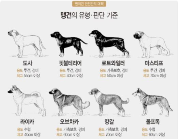  3살 아이 허벅지·초등생 성기 물어뜯은 폭스테리어 / 입마개 의무착용 견종 확인하기