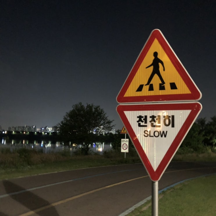  새로운 취미