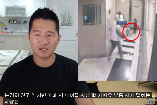  폭스테리어 35개월 여아 공격 입마개 착용은? 강형욱 안락사 언급
