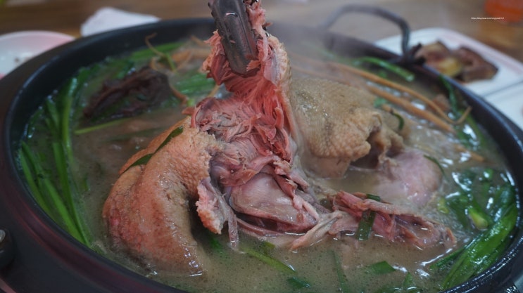  고양시청맛집 여름 보양식 능이오리백숙 먹고오다 윤식당