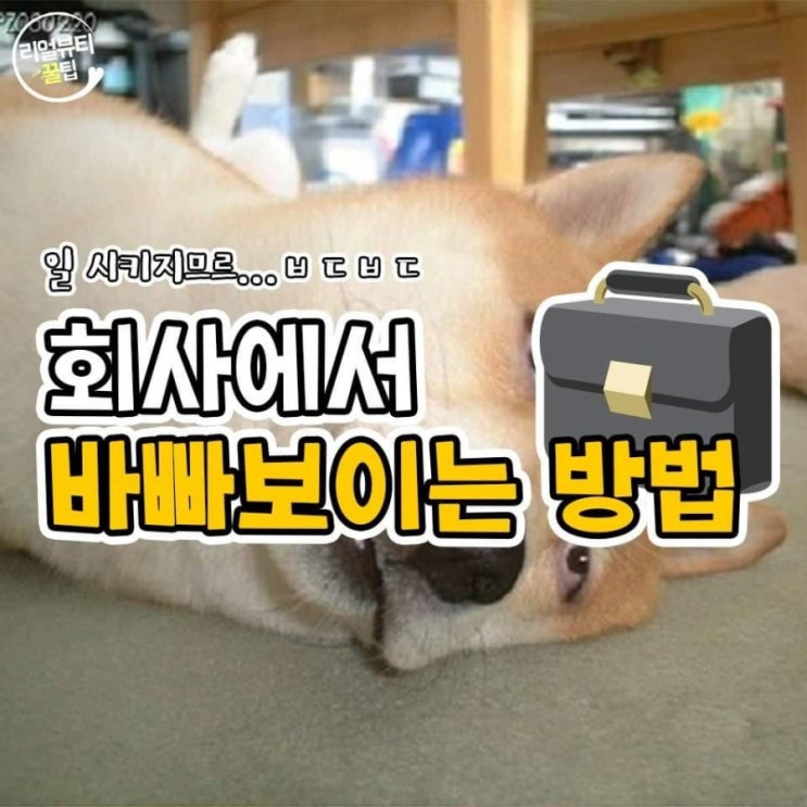  회사에서 바빠 보이는 방법