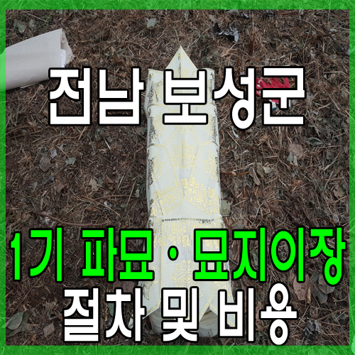 전남 보성군 벌교 묘지 이장 파묘 절차와 개장 비용에 대해서 그리고 궁중염(宮中殮) : 대렴(大殮)