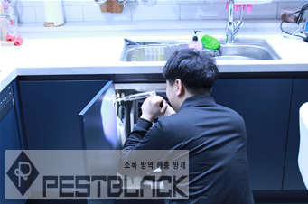 구미 바퀴벌레 퇴치, 경산 바퀴벌레 퇴치 패스트 블랙에 맡겨보세요 구미 바퀴벌레 퇴치, 경산 바퀴벌레 퇴치 패스트 블랙에 맡겨보세요