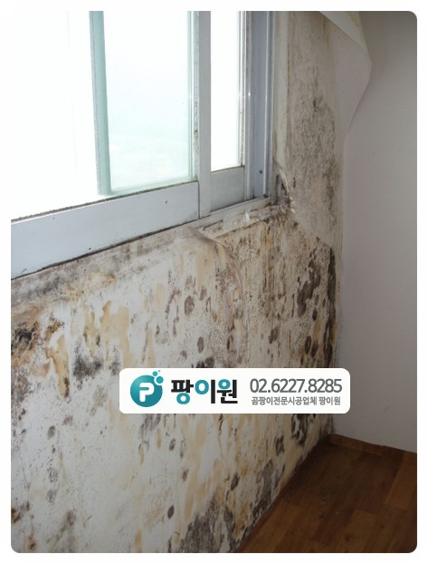  결로 곰팡이제거 후 또 생겼다면?